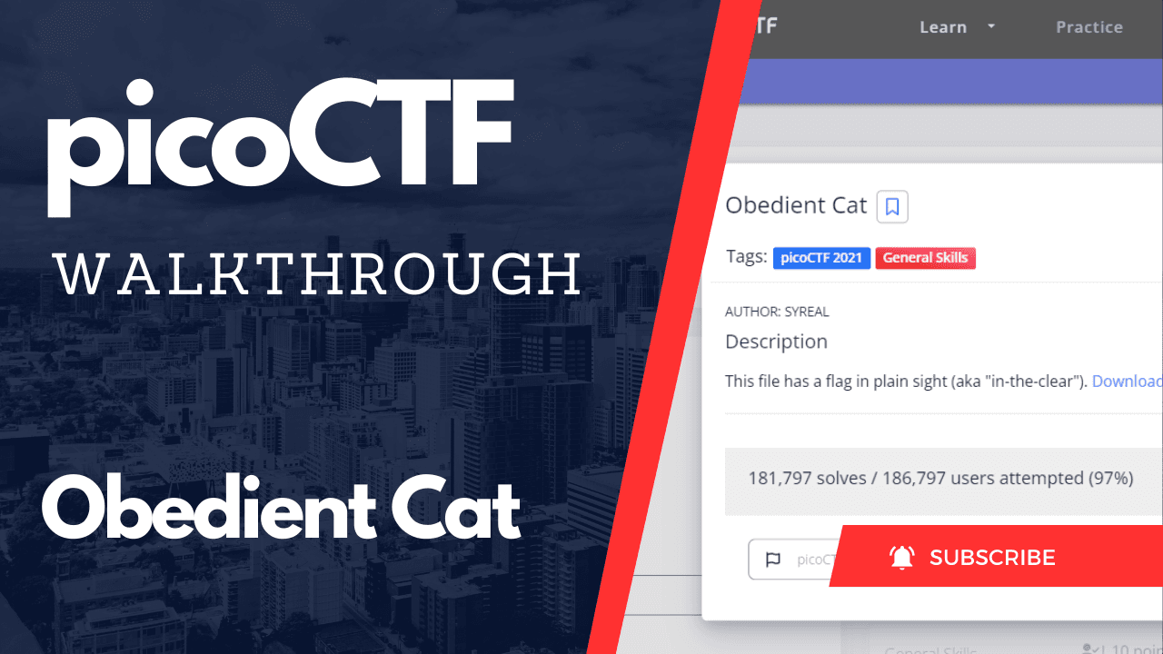 PicoCTF Walkthrough: Obedient Cat